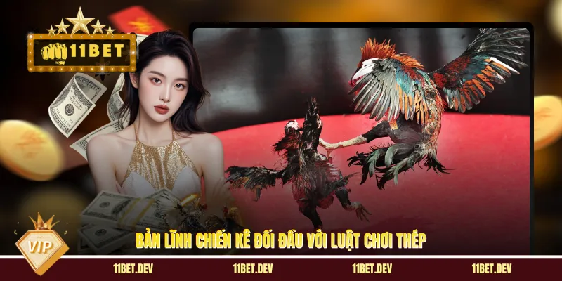 Đá Gà Cựa Dao - Thể Loại Thi Đấu Với Những Đòn Quyết Định