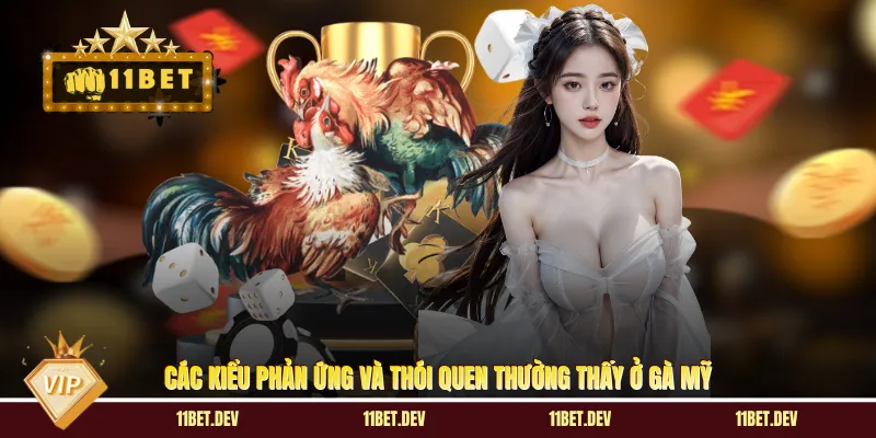 Đá Gà Mỹ 11BET - Quy Tụ Những Dòng Gà Chiến Xuất Sắc