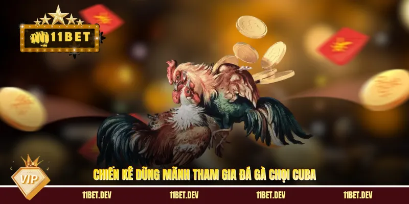 Đá Gà Chọi Cuba - Đấu Trường Sinh Tử Siêu Cuốn Tại 11BET