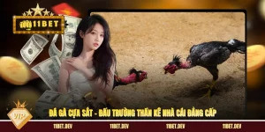 11bet ⭐️ Trang Chủ Chính Thức, Kèo Bóng Đá Nhận +68K