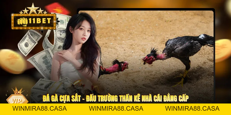 Đá Gà Cựa Sắt - Đấu Trường Thần Kê Nhà Cái Đẳng Cấp