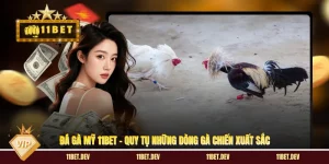 11bet ⭐️ Trang Chủ Chính Thức, Kèo Bóng Đá Nhận +68K