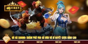 11bet ⭐️ Trang Chủ Chính Thức, Kèo Bóng Đá Nhận +68K