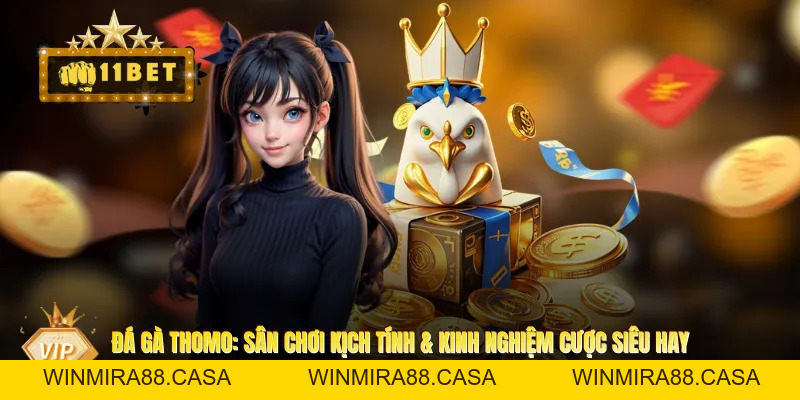 Đá Gà Thomo: Sân Chơi Kịch Tính & Kinh Nghiệm Cược Siêu Hay