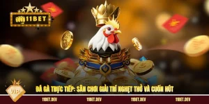 11bet ⭐️ Trang Chủ Chính Thức, Kèo Bóng Đá Nhận +68K