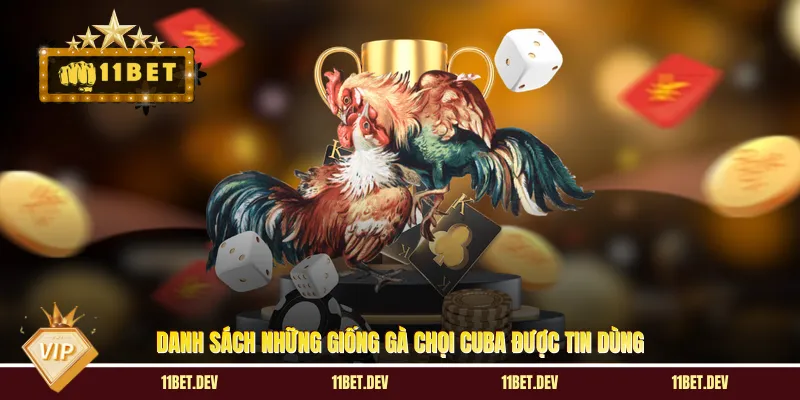Đá Gà Chọi Cuba - Đấu Trường Sinh Tử Siêu Cuốn Tại 11BET