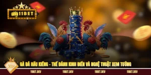 11bet ⭐️ Trang Chủ Chính Thức, Kèo Bóng Đá Nhận +68K