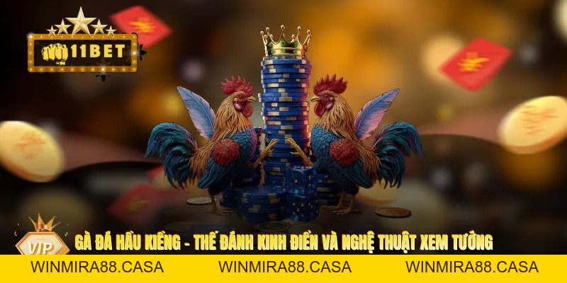 Gà Đá Hầu Kiềng - Thế Đánh Kinh Điển Và Nghệ Thuật Xem Tướng