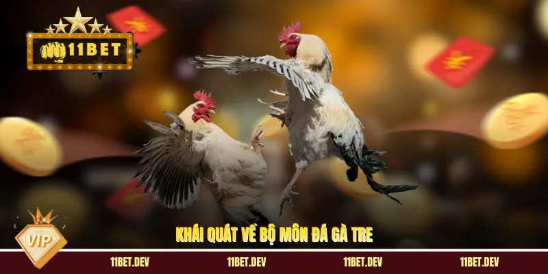 Đá Gà Tre: Kinh Nghiệm Chọn Gà Chiến Và Mẹo Cược Hiệu Quả