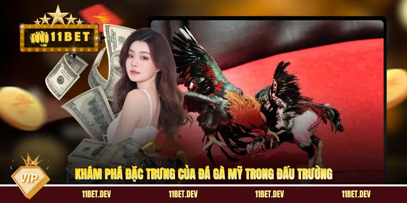 Đá Gà Mỹ 11BET - Quy Tụ Những Dòng Gà Chiến Xuất Sắc