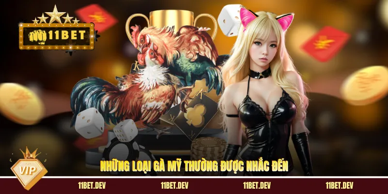 Đá Gà Mỹ 11BET - Quy Tụ Những Dòng Gà Chiến Xuất Sắc