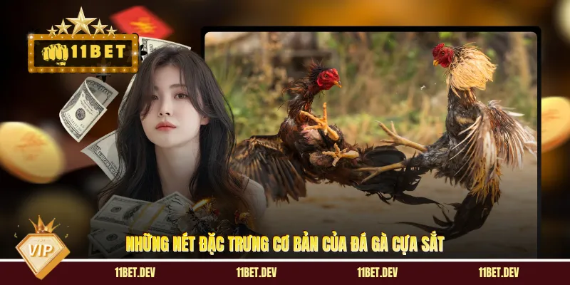 Đá Gà Cựa Sắt - Đấu Trường Thần Kê Nhà Cái Đẳng Cấp