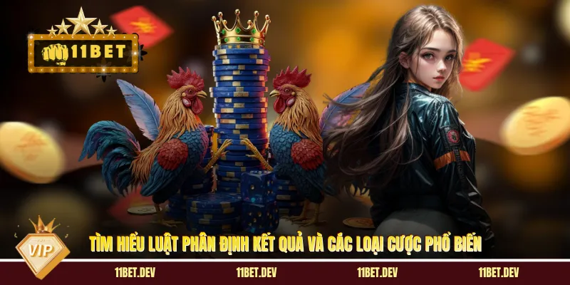 Đá Gà Thomo: Sân Chơi Kịch Tính & Kinh Nghiệm Cược Siêu Hay