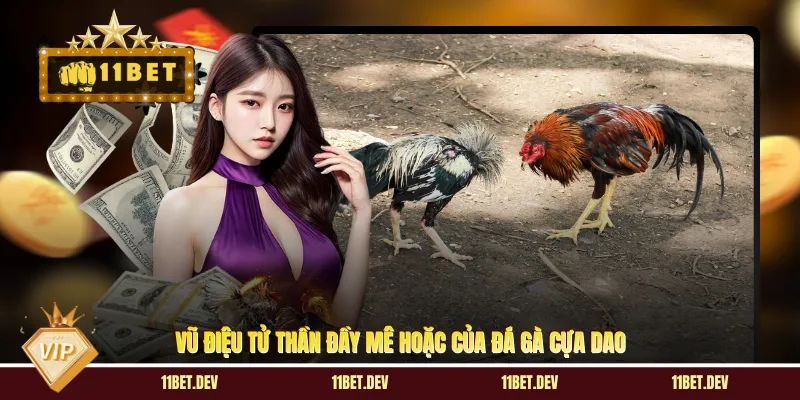 Đá Gà Cựa Dao - Thể Loại Thi Đấu Với Những Đòn Quyết Định